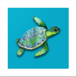 Swimming sea turtle Posters and Art